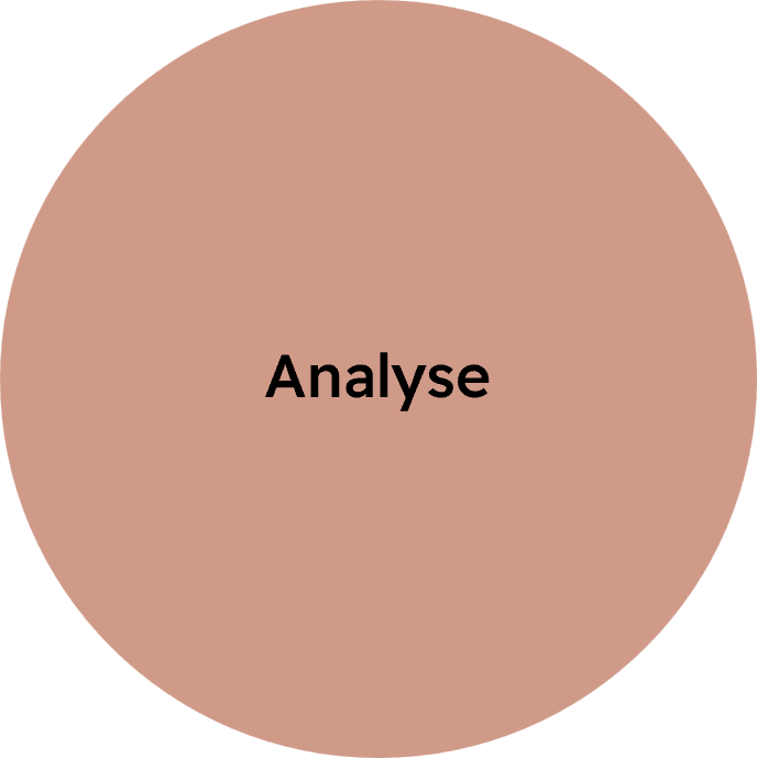 analyse rose