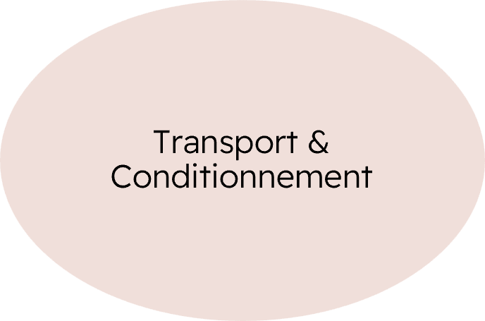 transp